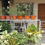 Merly\'S Place
