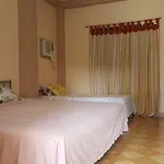 Merly\'S Place
